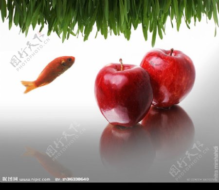 鱼和苹果图片