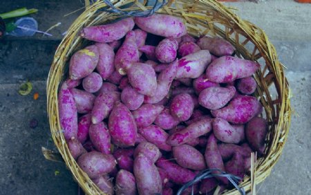 紫红薯副食菜图片