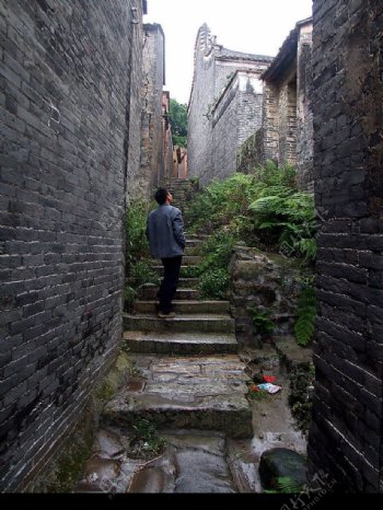 广州蚬岗的八卦村图片