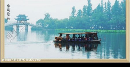 曲院风荷一景图片