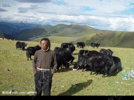 藏族牧民图片