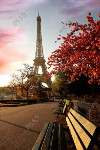 秋季巴黎图片