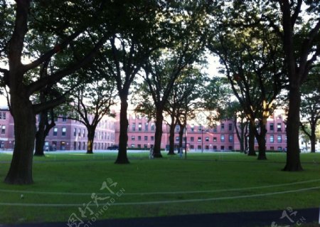 波士顿大学图片