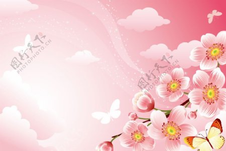 粉红桃花蝴蝶矢量图片