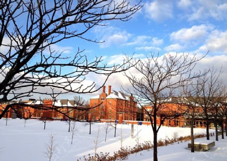 校园雪景图图片