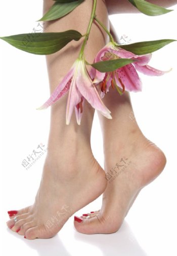 鲜花性感美腿美脚图片