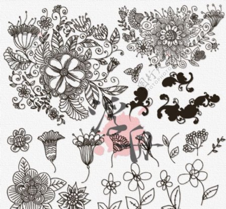 古典线描花卉图片
