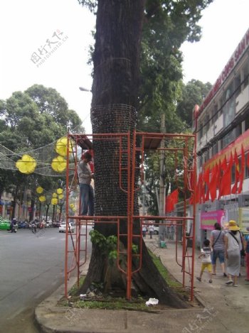 马路图片