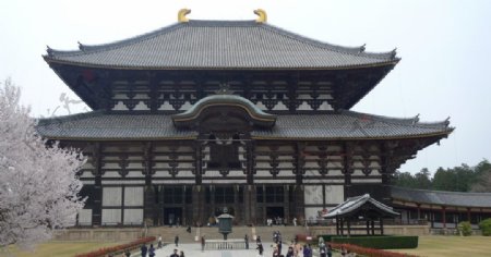 日本东大寺图片