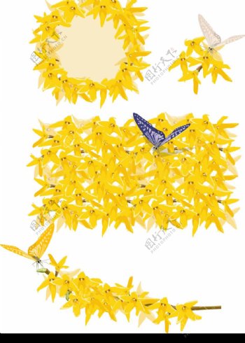 金黄色的花卉与蝴蝶矢量素材图片