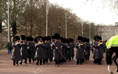 英国伦敦议会广场皇家军乐队图片