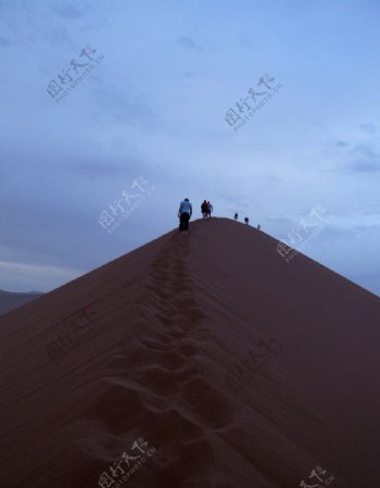 沙漠之旅相伴而行沙丘之上图片