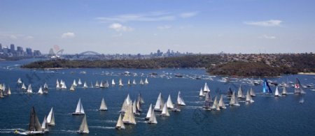 国外澳大利亚悉尼海湾帆船比赛图片
