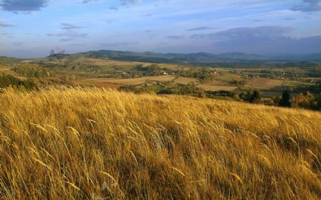 波兰下西里西亚的田野风景图片