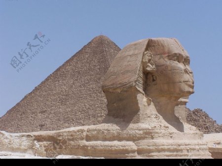 埃及金子塔图片
