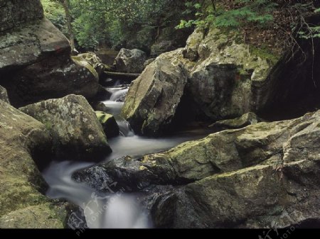 肯塔基州坎博兰瀑布州立公园图片