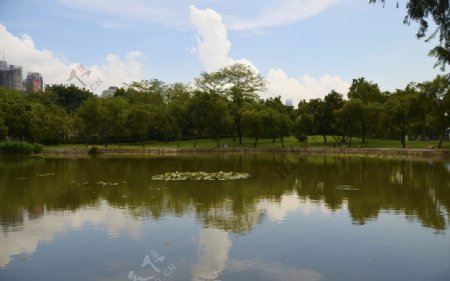 洪湖公园图片