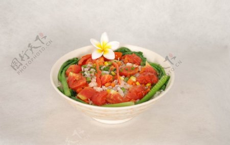 番茄肉片虾仁饭图片