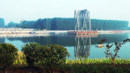 淄博新区南部湿地人工图片