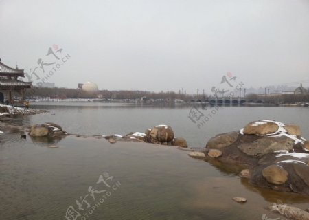 曲江池湖水图片