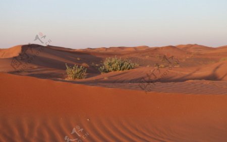 沙漠沙丘沙浪图片
