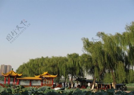 大明湖公园图片