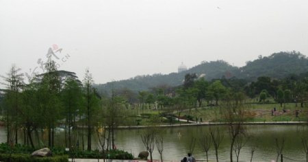 珠海海滨公园一角图片