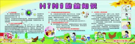 H7N9防控知识图片