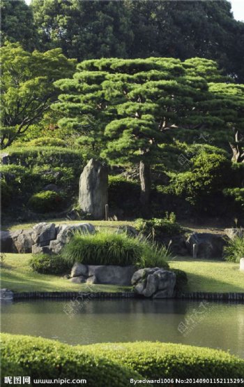 日式花园公园图片