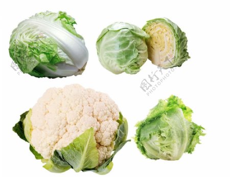 分层蔬菜图片