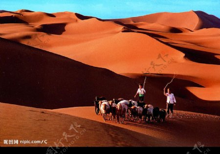 在沙漠中的维族小孩图片
