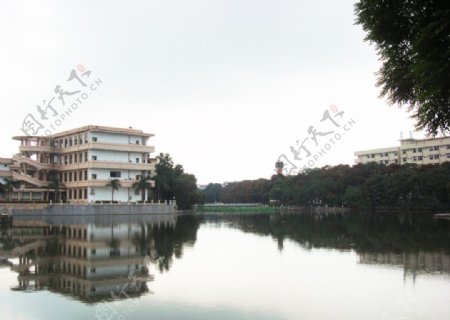 广西大学碧云湖景图片