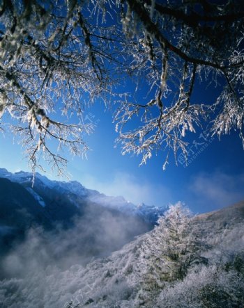 冬日山林雾凇雪景图片