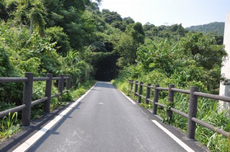 东江自行车道图片