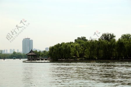 大明湖图片