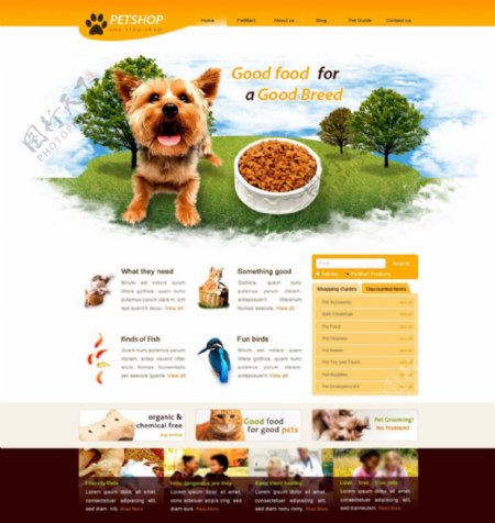 宠物商店网站模板图片