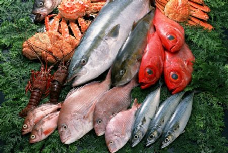 海鲜海鱼鱼类海鲜食材图片