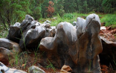 风景石盆景石图片