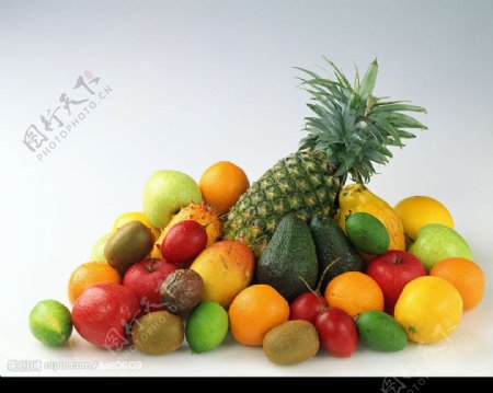 水果组图图片
