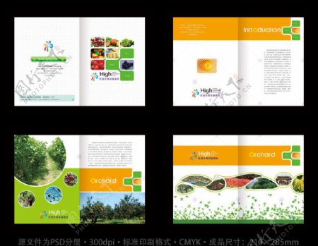 水果画册设计模板下载图片