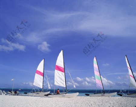 沙滩帆船图片