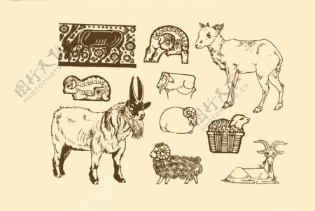动物图案羊图片