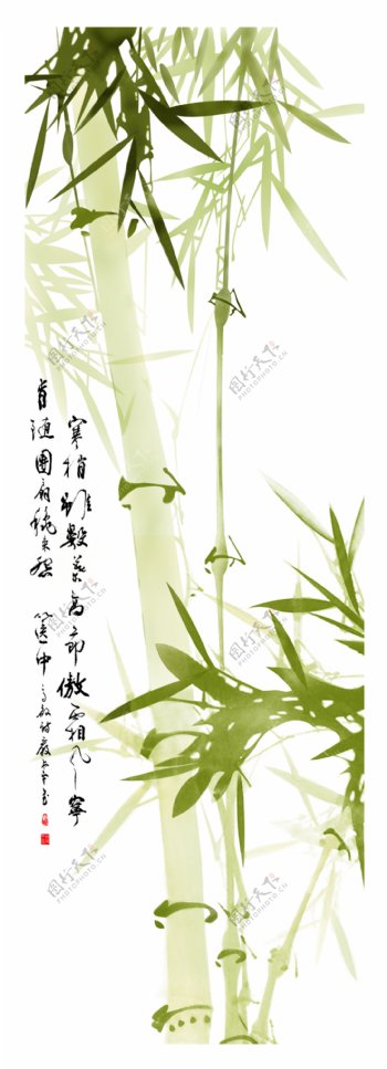中国竹子展板图片