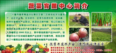 十堰市蔬菜育苗中心简介图片