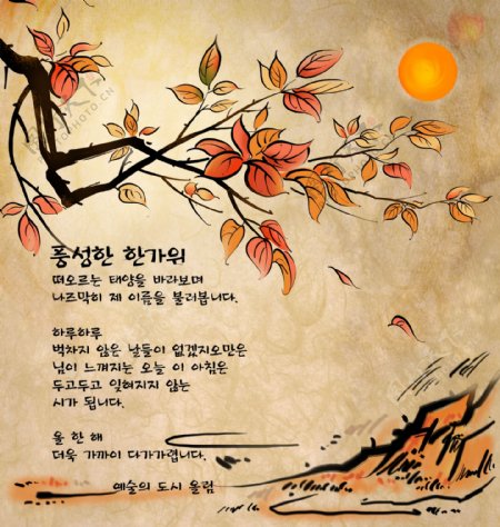 韩国秋天落叶素材图片