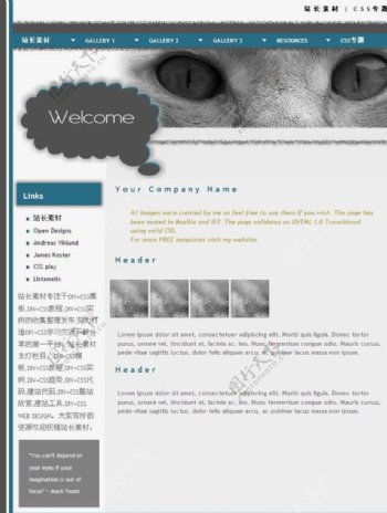 艺术猫眼网页模板图片