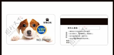 宠物VIP卡图片