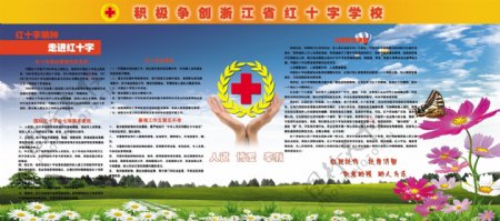 红十字学校宣传图片