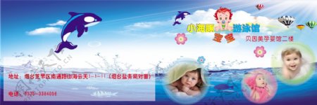 贝因美小海豚宝宝游泳馆图片