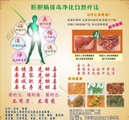 肝胆肠排毒净化自然疗法图片